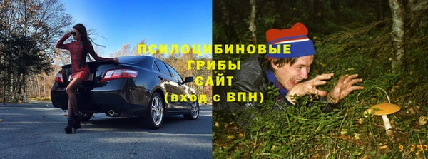 spice Арсеньев