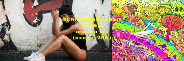 apvp Аркадак