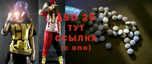 индика Пролетарск