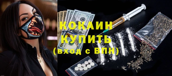 spice Арсеньев