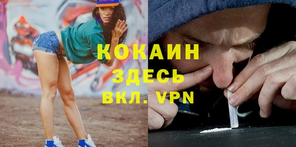 spice Арсеньев